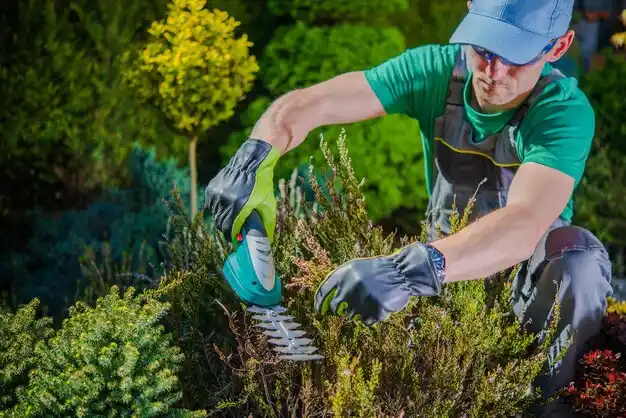 landscaping services Swartz